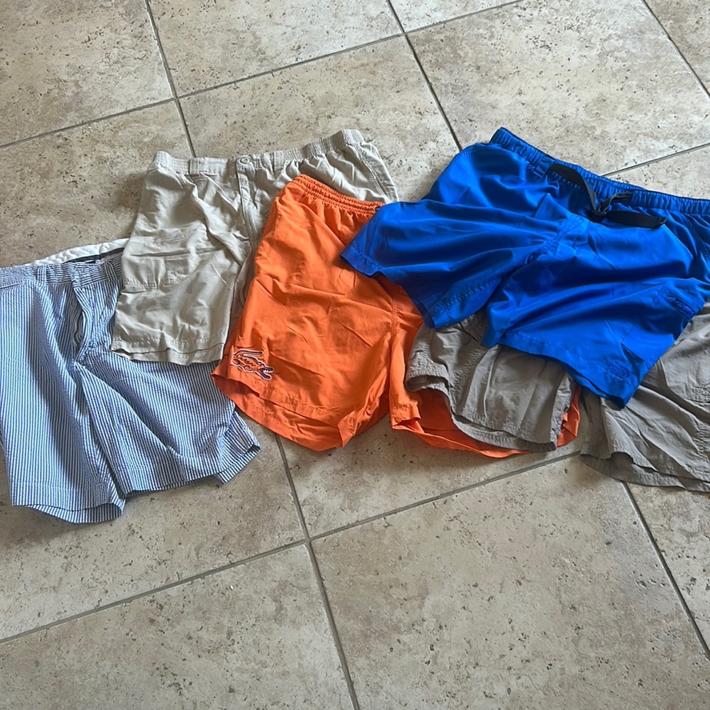 Lot of Men's L and XL Shorts: Northface, Lacoste, Patagonia, Polo